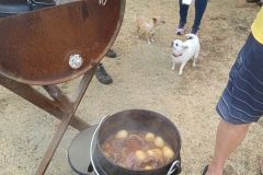 Edenvale-Bowls-Heritage-Day-2025-15