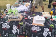 Edenvale-Bowls-Heritage-Day-2025-36